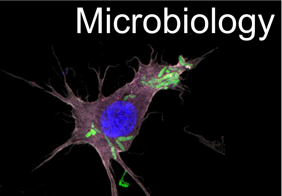 Microbiology