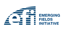 Logo efi