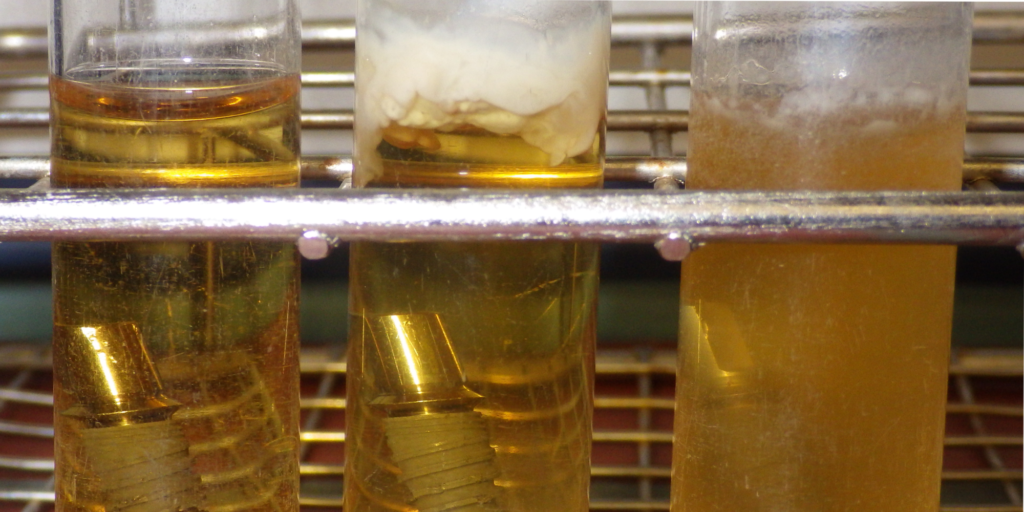 Inactivation of microorganisms