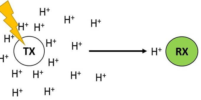 To the page:Molecular Communications