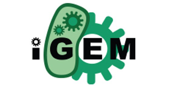 To the page:iGEM