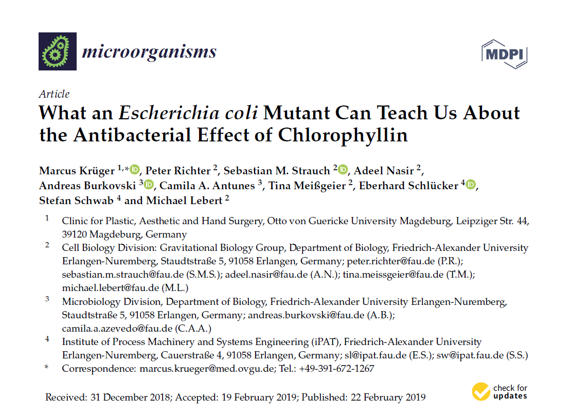 Towards page "What an Escherichia coli Mutant Can Teach Us About the Antibacterial Effect of Chlorophyllin