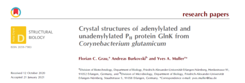 Towards page "Crystal structures of adenylylated and unadenylylated PII protein GlnK from Corynebacterium glutamicum"