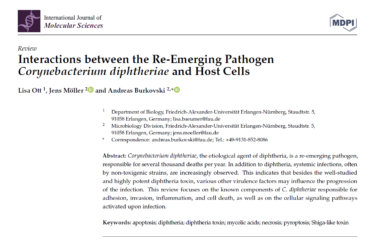 To the page:Interactions between the Re-Emerging Pathogen Corynebacterium diphtheriae and Host Cells