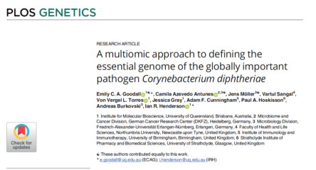 To the page:A multiomic approach to defining the essential genome of the globally important pathogen Corynebacterium diphtheriae