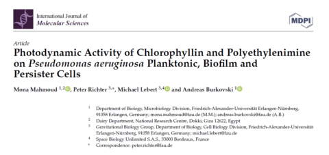 To the page:Photodynamic Activity of Chlorophyllin and Polyethylenimine on Pseudomonas aeruginosa Planktonic, Biofilm and Persister Cells