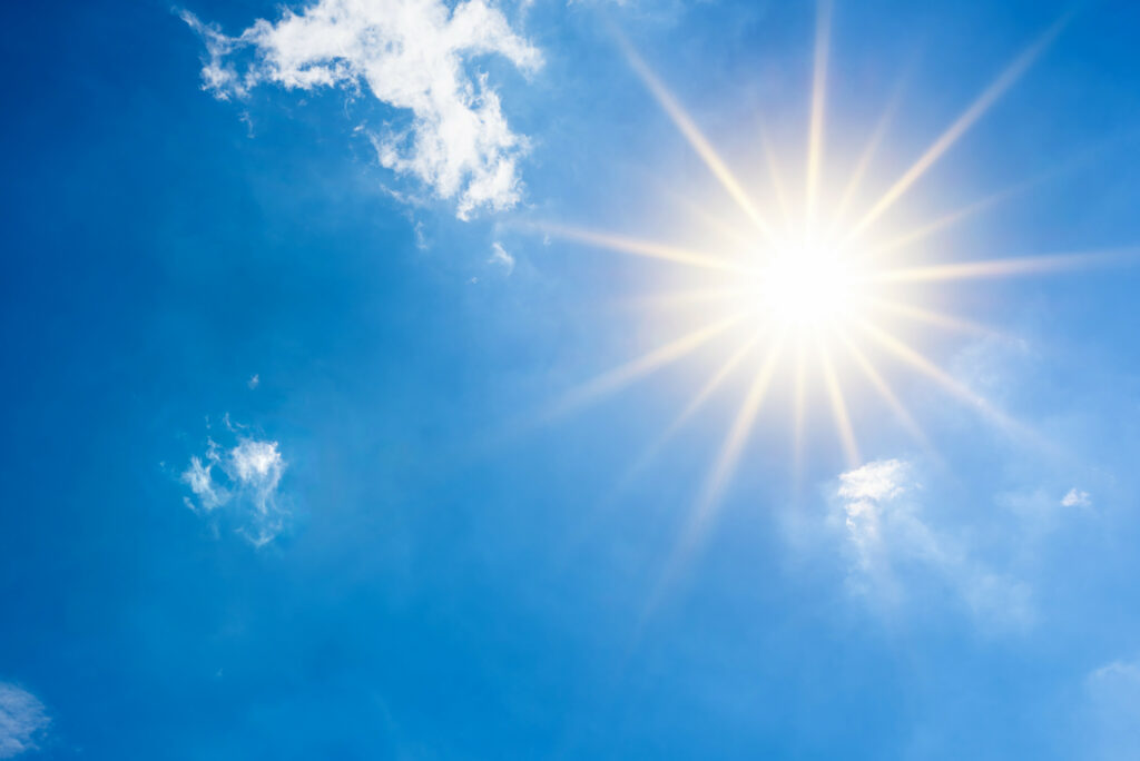 Summer term/Sommersemester (Selection/Auswahl)