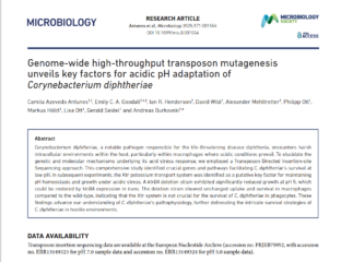 To the page:Genome-wide high-throughput transposon mutagenesis unveils key factors for acidic pH adaptation of Corynebacterium diphtheriae