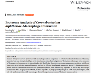 To the page:Proteome Analysis of Corynebacterium diphtheriae-Macrophage Interaction